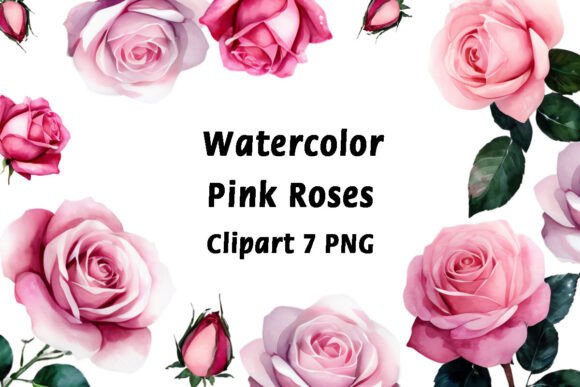 Embrace Floral Elegance: Pink Roses Watercolor Clipart