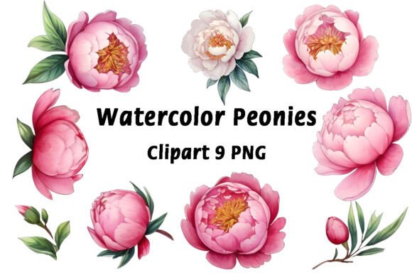 Watercolor Peonies Clipart: Fresh Design Assets